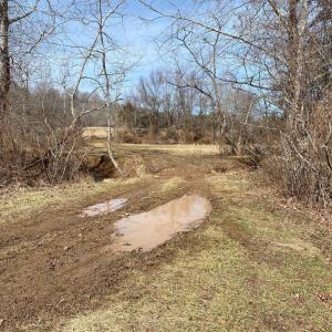 Photo #16 of KIRTLEY TRAIL LOT 2, CULPEPER, VA 40.4 acres