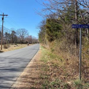 Photo #17 of KIRTLEY TRAIL LOT 2, CULPEPER, VA 40.4 acres
