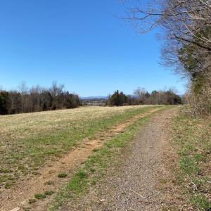 Photo #18 of KIRTLEY TRAIL LOT 2, CULPEPER, VA 40.4 acres