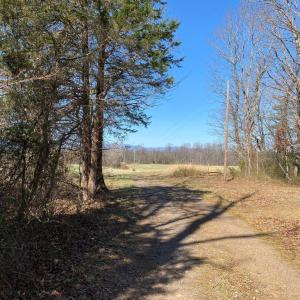 Photo #20 of KIRTLEY TRAIL LOT 2, CULPEPER, VA 40.4 acres