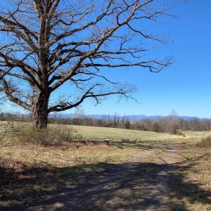 Photo #21 of KIRTLEY TRAIL LOT 2, CULPEPER, VA 40.4 acres