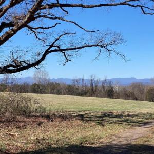 Photo #22 of KIRTLEY TRAIL LOT 2, CULPEPER, VA 40.4 acres