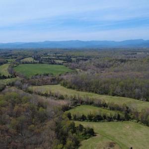 Photo #7 of KIRTLEY TRAIL- LOT 1, CULPEPER, VA 40.4 acres
