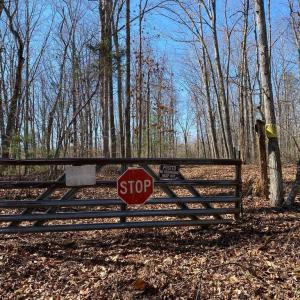 Photo #15 of KIRTLEY TRAIL- LOT 1, CULPEPER, VA 40.4 acres