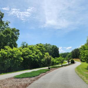 Landscaped Drive