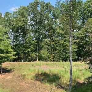 Bldg SITE