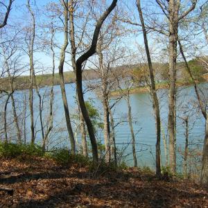 20190219164957848630000000-o (1)