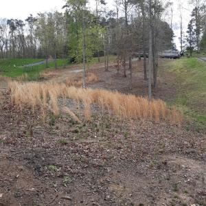 thumbnail_20200406_131844