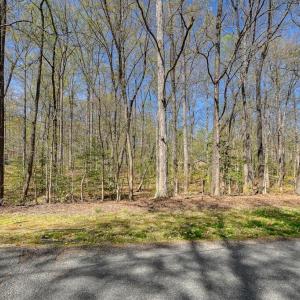 Photo #4 of LAKEWOOD CIRCLE, MINERAL, VA 1.1 acres