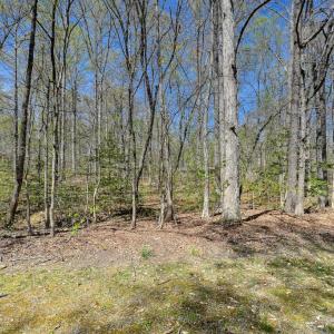 Photo #5 of LAKEWOOD CIRCLE, MINERAL, VA 1.1 acres