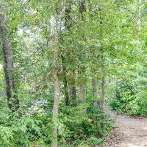 Photo #3 of 108 CONFEDERATE CIR, LOCUST GROVE, VA 0.3 acres