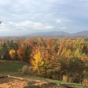View of Smith Mtn from Flint Hill (1)