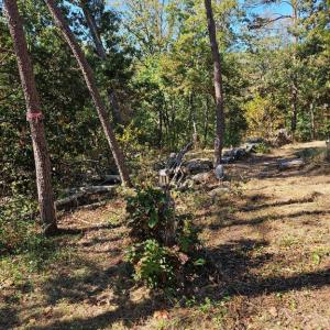 Photo #18 of HILL CLIMB RD., STANLEY, VA 1.7 acres