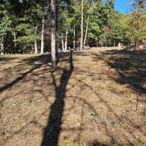 Photo #21 of HILL CLIMB RD., STANLEY, VA 1.7 acres