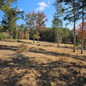 Photo #22 of HILL CLIMB RD., STANLEY, VA 1.7 acres