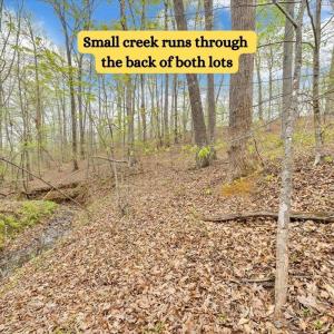 Small creek