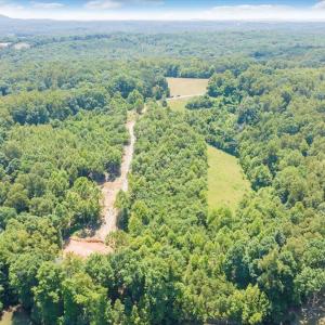 09-DJI_20240621123719_0039_D_MIB