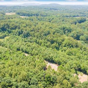 12-DJI_20240621123759_0042_D_MIB