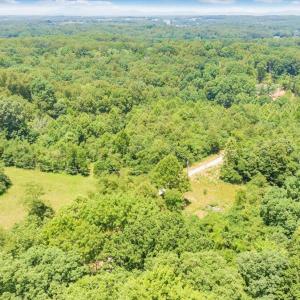 18-DJI_20240621124003_0049_D_MIB