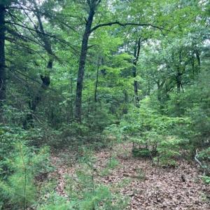 0 Ridgefield LN5