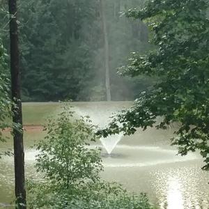 pond