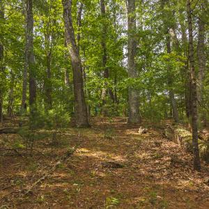 DJI_20250522104350_0020_D