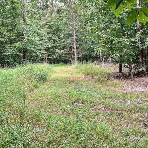 Photo #2 of S. BLUE RIDGE TURNPIKE, ROCHELLE, VA 14.1 acres