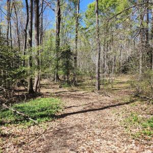 Photo #7 of BENT CREEK LN, BUMPASS, VA 28.0 acres