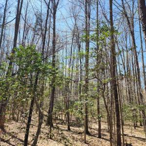 Photo #8 of BENT CREEK LN, BUMPASS, VA 28.0 acres