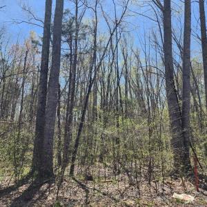 Photo #9 of BENT CREEK LN, BUMPASS, VA 28.0 acres