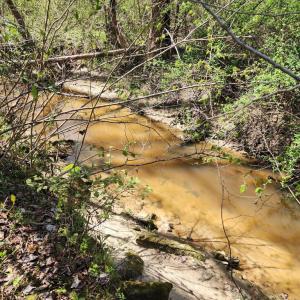 Photo #4 of BENT CREEK LN, BUMPASS, VA 28.0 acres