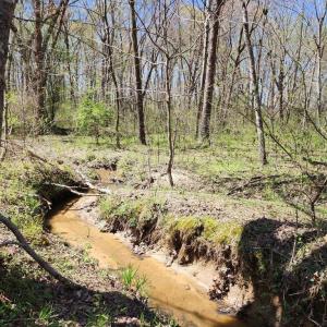 Photo #6 of BENT CREEK LN, BUMPASS, VA 28.0 acres
