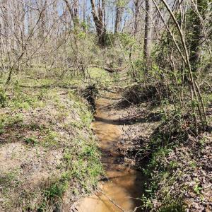 Photo #5 of BENT CREEK LN, BUMPASS, VA 28.0 acres