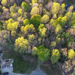 Photo #13 of BENT CREEK LN, BUMPASS, VA 28.0 acres