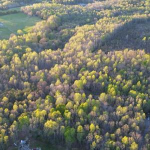 Photo #15 of BENT CREEK LN, BUMPASS, VA 28.0 acres