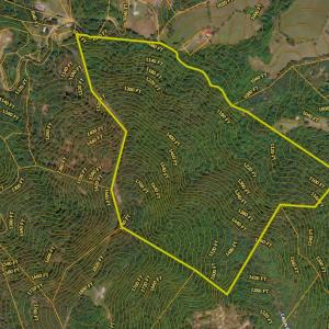 Rockabrand Aerial 3