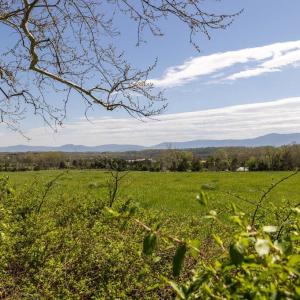 Photo #38 of MEADOWVIEW DR, LURAY, VA 2.3 acres