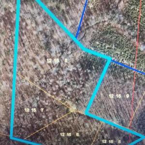 Photo #4 of FIREHOUSE DR, LOUISA, VA 17.3 acres