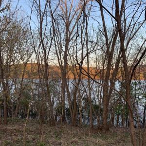 View to lake