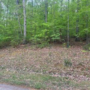 Photo #3 of FISHER DRIVE, MINERAL, VA 2.4 acres