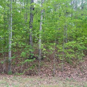 Photo #4 of FISHER DRIVE, MINERAL, VA 2.4 acres