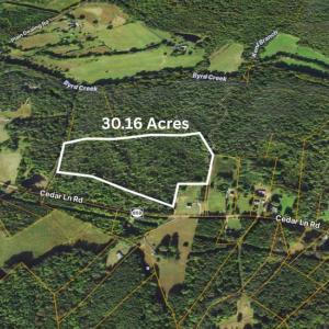 Photo #4 of  30.2 acres