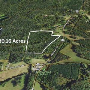 Photo #5 of  30.2 acres