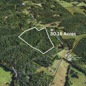 Photo #6 of  30.2 acres