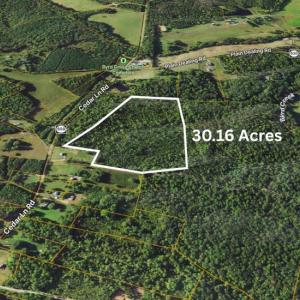 Photo #9 of  30.2 acres