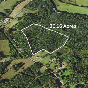 Photo #10 of  30.2 acres