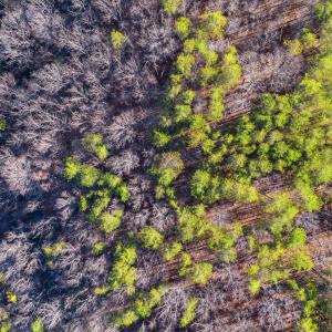 17-Garrison Ridge Lot 61_17