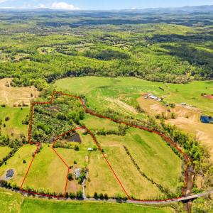 Photo #2 of DOCS, AMISSVILLE, VA 54.9 acres