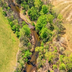 Photo #4 of DOCS, AMISSVILLE, VA 54.9 acres