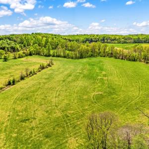 Photo #5 of DOCS, AMISSVILLE, VA 54.9 acres